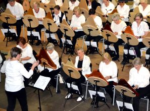 Das Veeh-Harfen®-Ensemble Der Musikschule Tonleiter In Essen