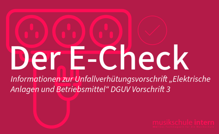 Was Musikschulen über Den E-Check Wissen Sollten
